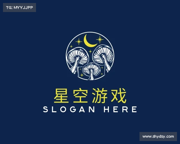 介绍&#x661f;&#x7a7a;&#x6e38;&#x620f;